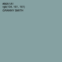 #86A1A1 - Granny Smith Color Image